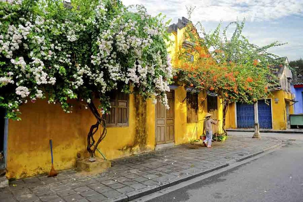 Flame Flowers Homestay Hoi An Esterno foto