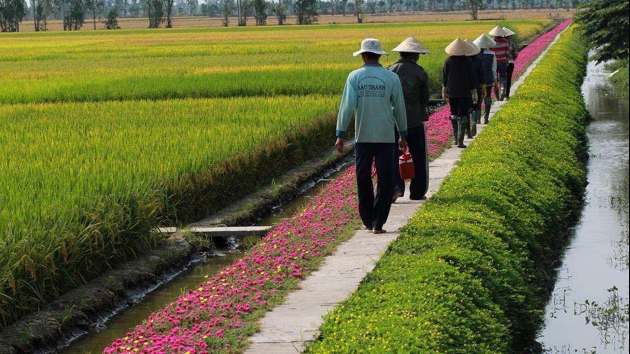 Flame Flowers Homestay Hoi An Esterno foto