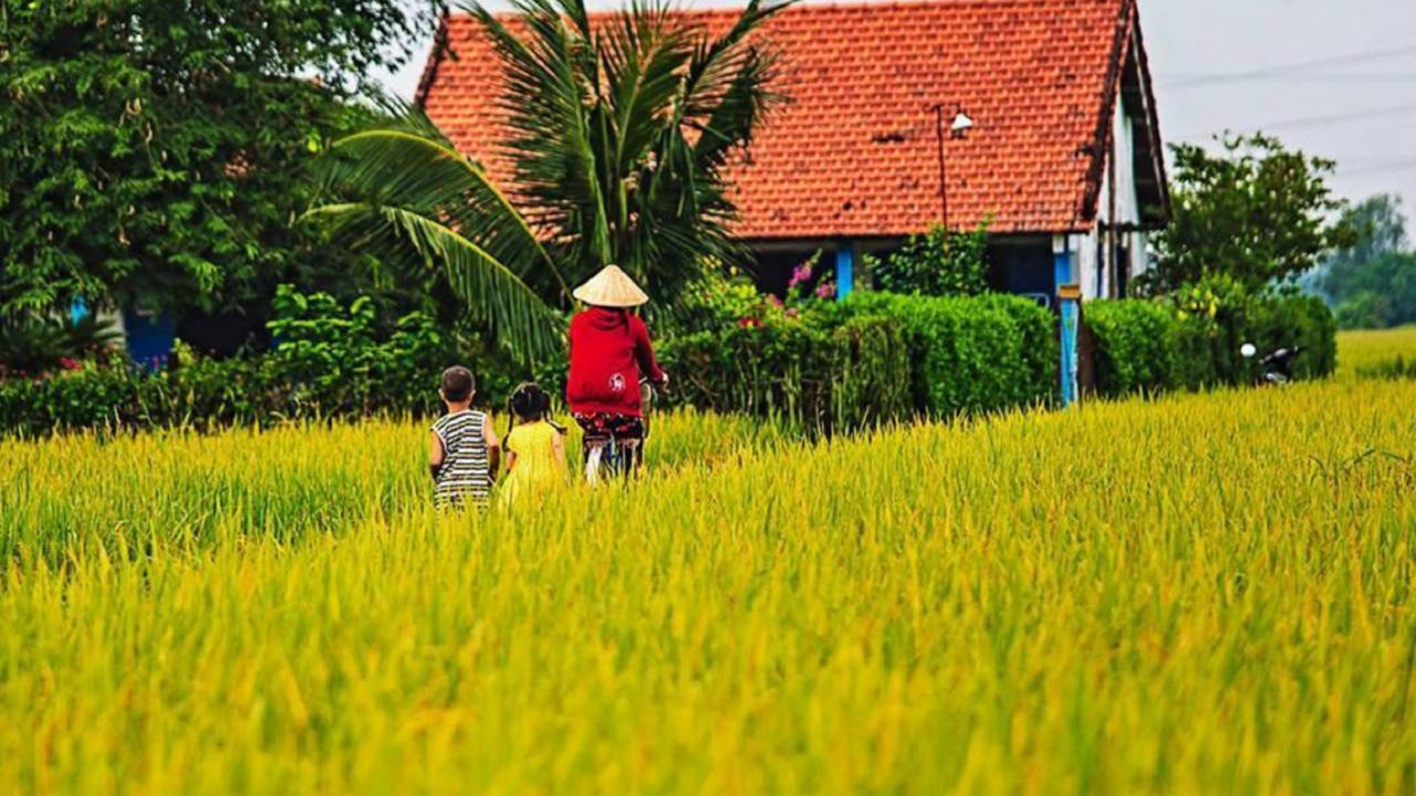 Flame Flowers Homestay Hoi An Esterno foto